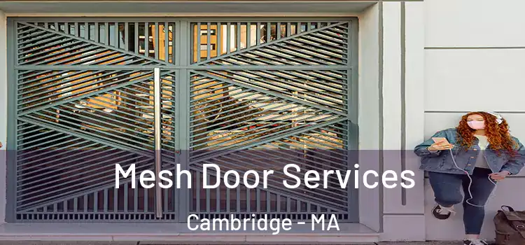  Mesh Door Services Cambridge - MA